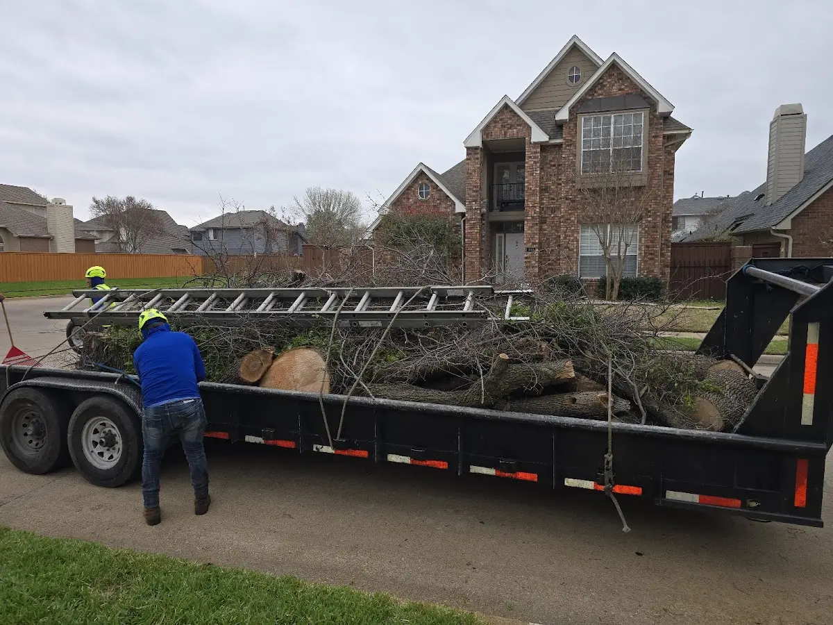 Expert Lot Clearing with proper safety equipment in Shanks
